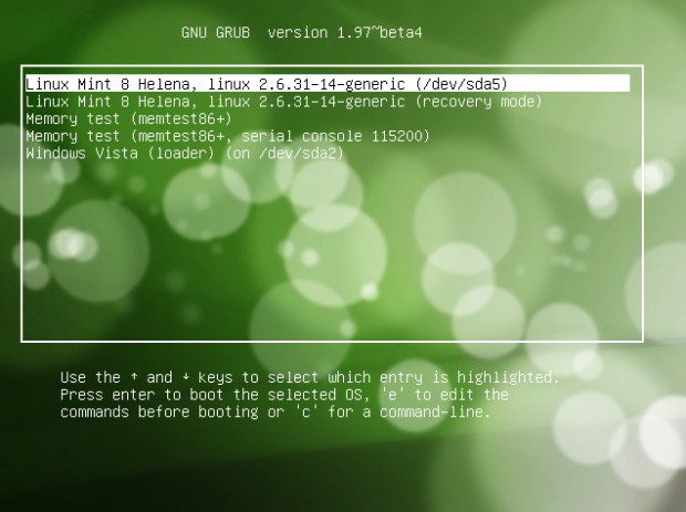 dualboot linux windows