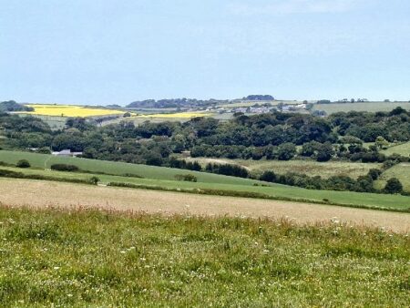 5 Must-Read Mystery Novels