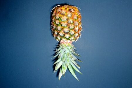 pineapple upside down