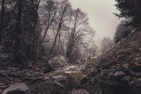 Are Skinwalkers Real?