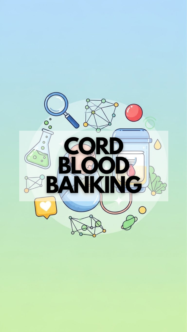 Deciding on Cord Blood Banking: Why Choose Securicord?